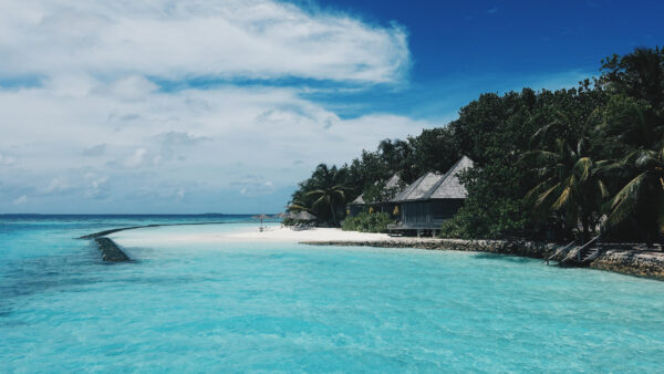FYRE Festival is het voorbeeld van een succesvolle marketingstrategie maar een gebrek en productionele ervaring in de wereld van live events