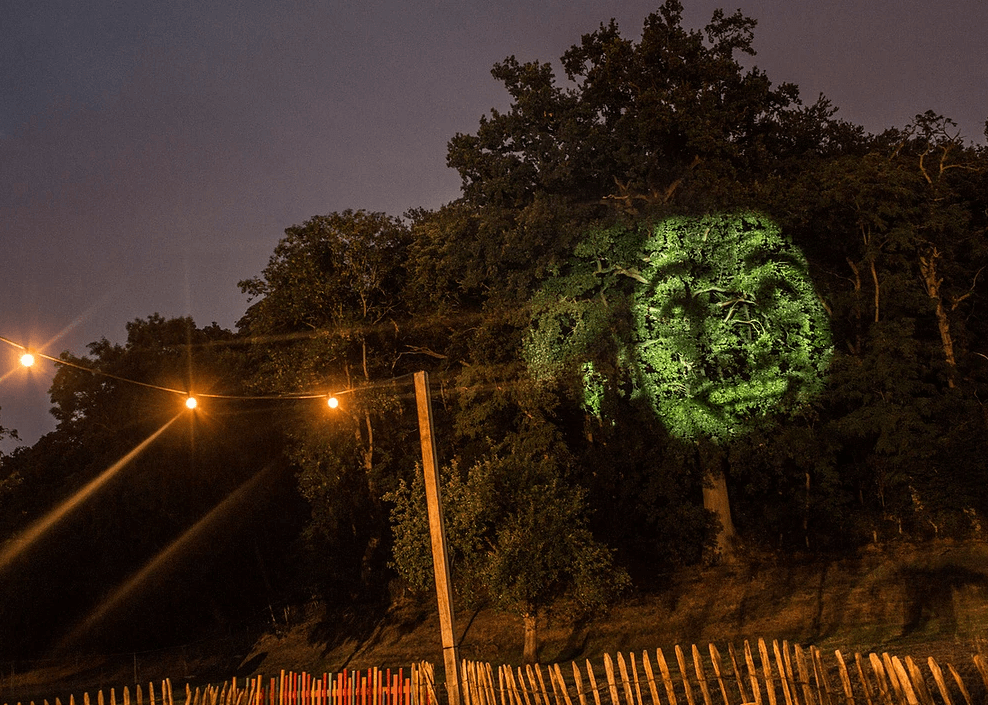 projectiemapping op bomen als unieke en natuurlijke vorm van stage en eventdesign - be the tree