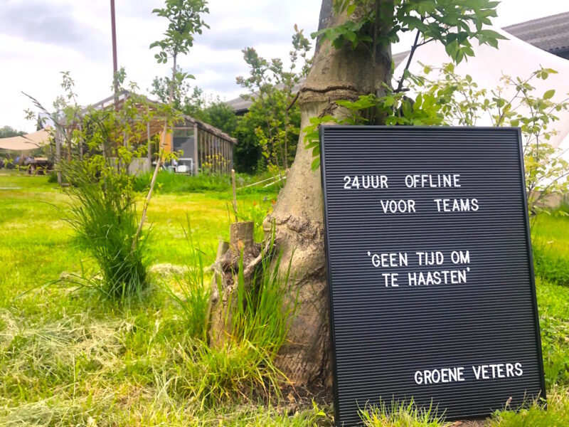 Snack | Zwier | 24 uur offline