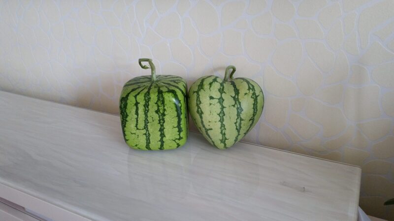 fruit vorm - op maat - event - inspiration - 3