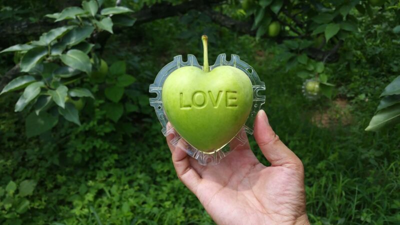 fruit vorm - op maat - event - inspiration - 4
