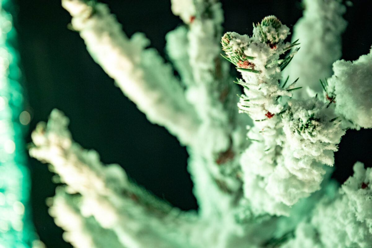 Snoweffects_showeffects_wintercircus_witte_kerstboom_wit-sneeuw