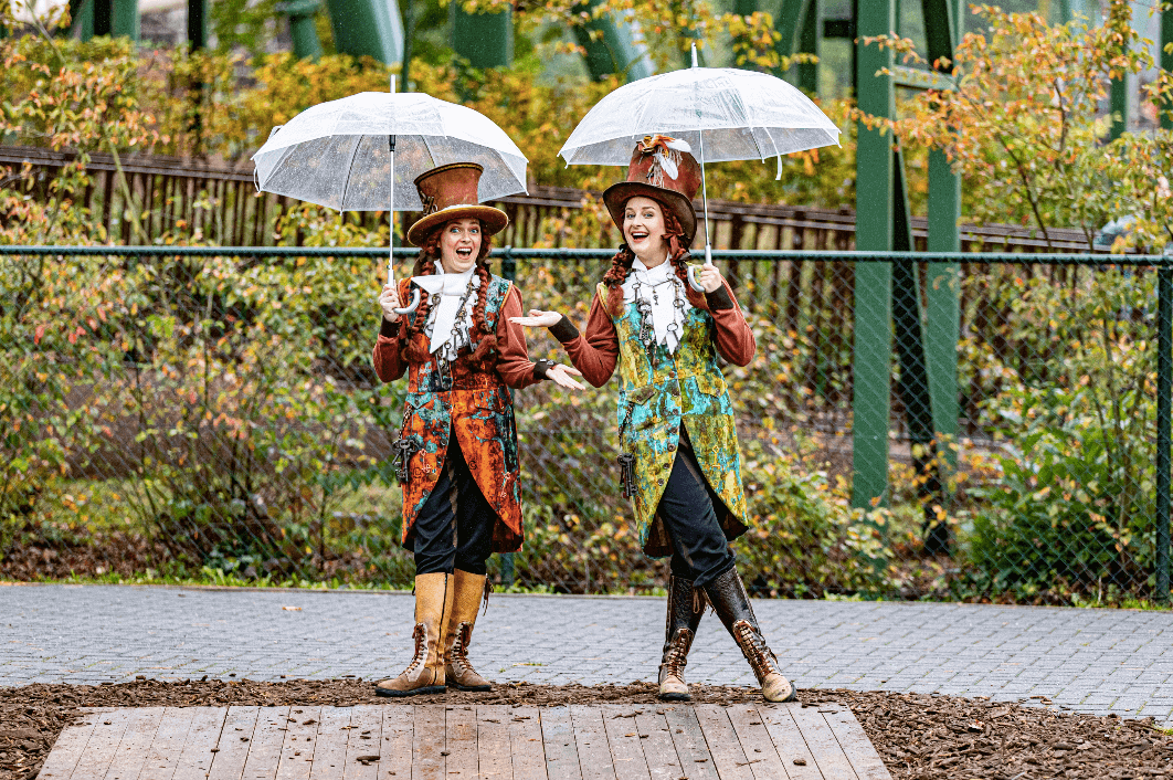 attractie - efteling - event locatie -