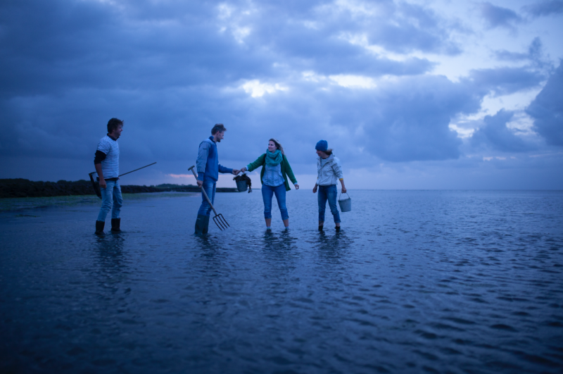 wadlopen - meet in friesland - donker - nacht - night sky