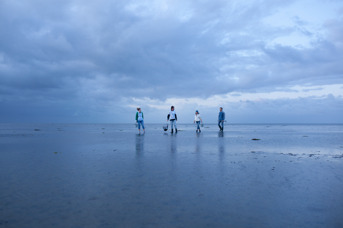 wadlopen - meet in friesland - night sky