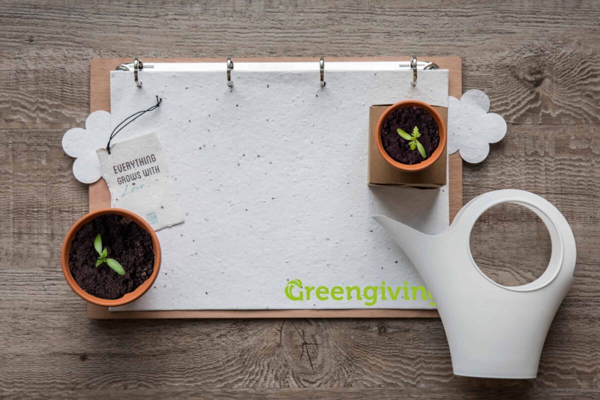 Groeipapier - uitnodiging, communicatietraject, duurzaam, ecologisch, natuur