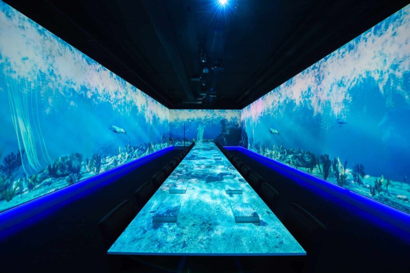 Aquarium - dinner - projectie - eten