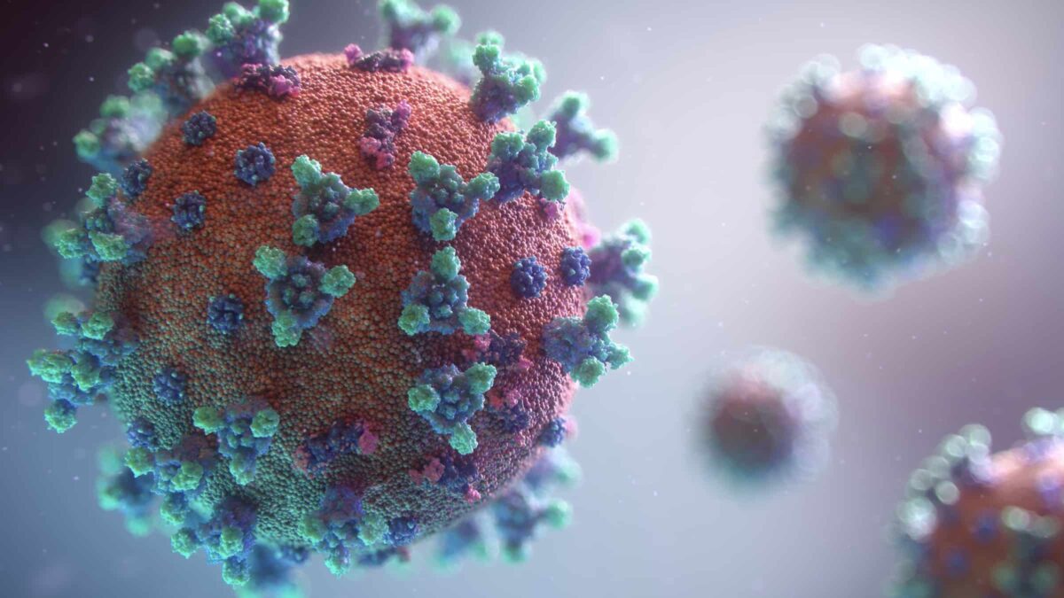 Corona - virus - molecuul - maatregelen - evenementen - annulering
