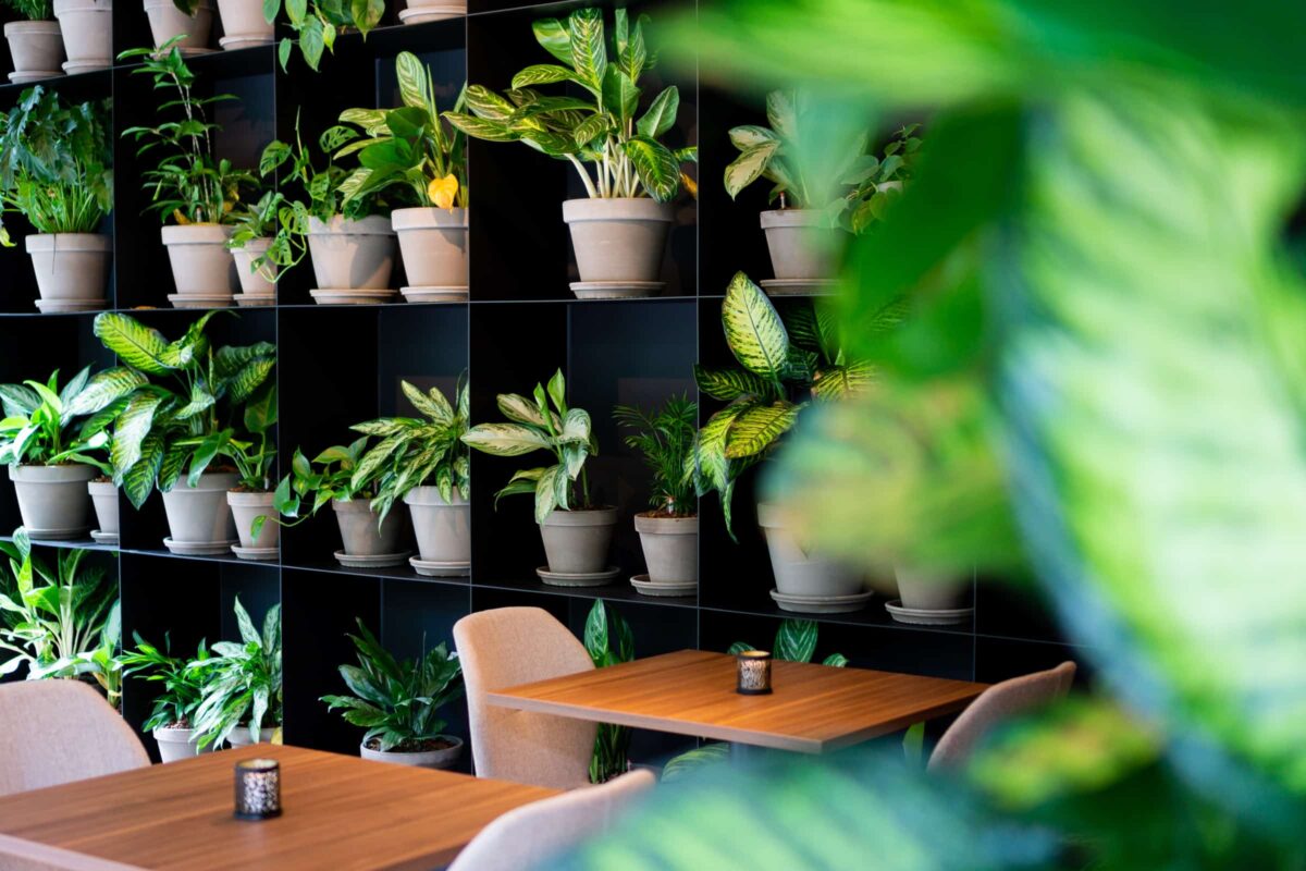 KonneKt-Restaurant Kontakt der Kontinenten met plantenwand