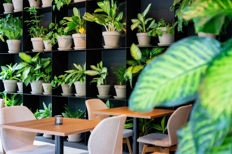 Conferentiehotel Kontakt der Kontinenten opent ‘KonneKt restaurant, bar en lounge’ met hybride evenement
