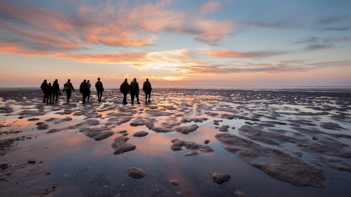Wadlopen in Friesland - Photo: Elroy Spelbos