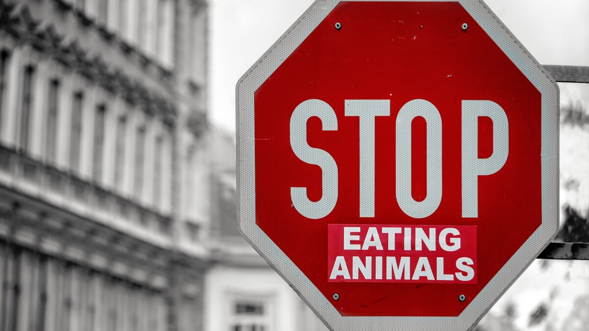 STOP eating animals verkeersbord (foto- Simon Berger) - foodtrends