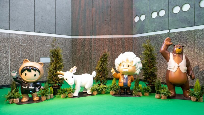 Caracters tijdens event van salesforce