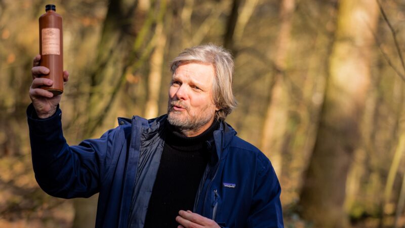 XSAGA Inspiration Walk in het bos