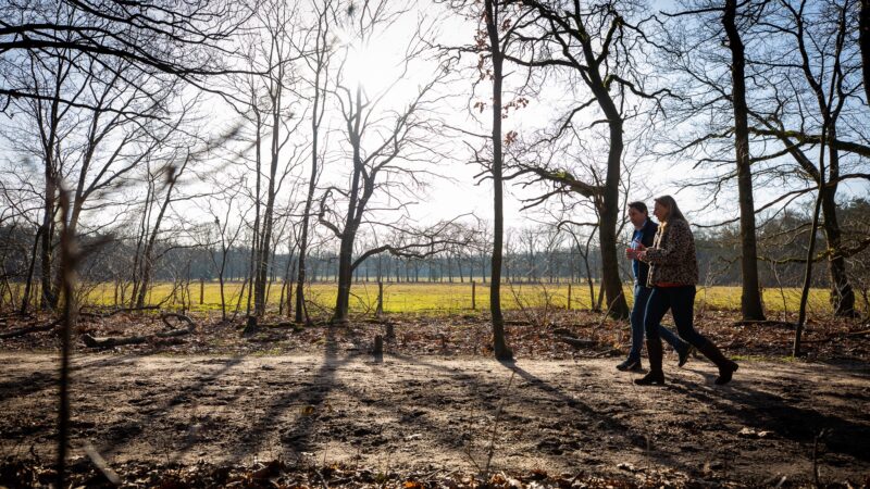 XSAGA Inspiration Walk in het bos