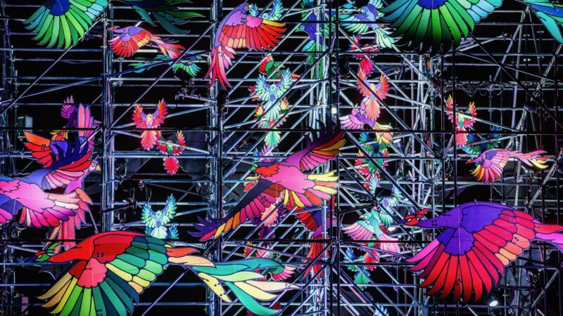 Tree of Hope ode aan de festivalmakers kunstwerk in het donker met gekleurde lichten (foto-Bart heemskerk)