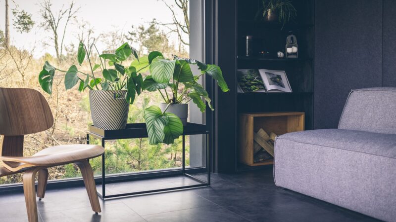 Cuber huiskamer met planten overnachting in de natuur