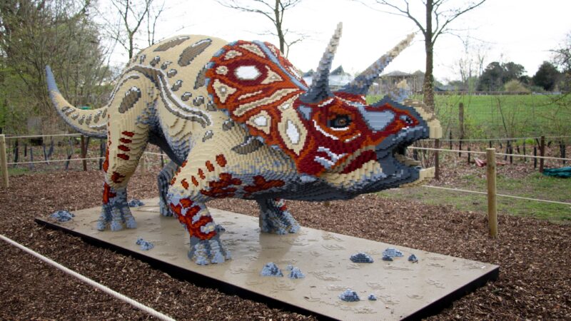 DeFabrique Dinofabriek Triceratops bestaande uit 157549 bricks ruim 5m breed