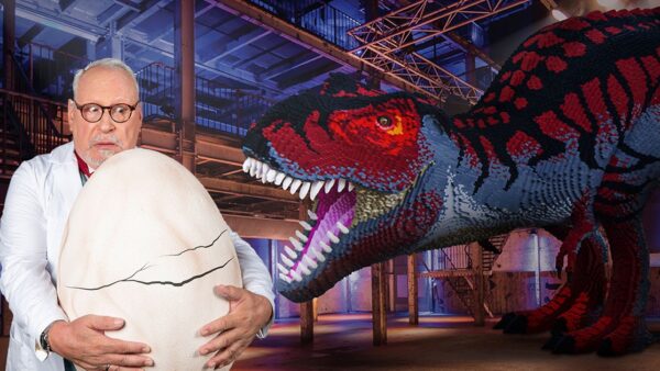 DeFabrique Dinofabriek met T-Rex van 5,5 meter bestaande uit 243337 bricks
