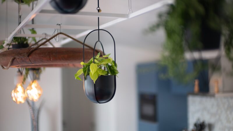 Nieuw duurzaam Qurios park is geschikt voor kleine teammeetings - plant aan plafond - roompot