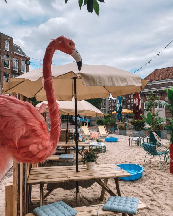 Stadstrand De hallen Amsterdam - kanarieclub
