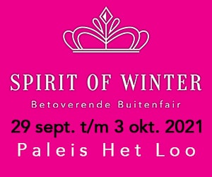 Banner Spirit of Winter
