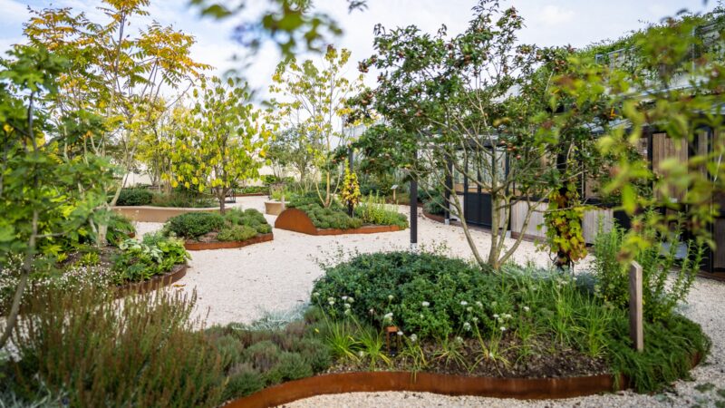 Daktuin Ebben Inspyrium - opening