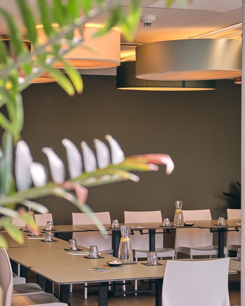 Hortus Tuinkamer met groen detail