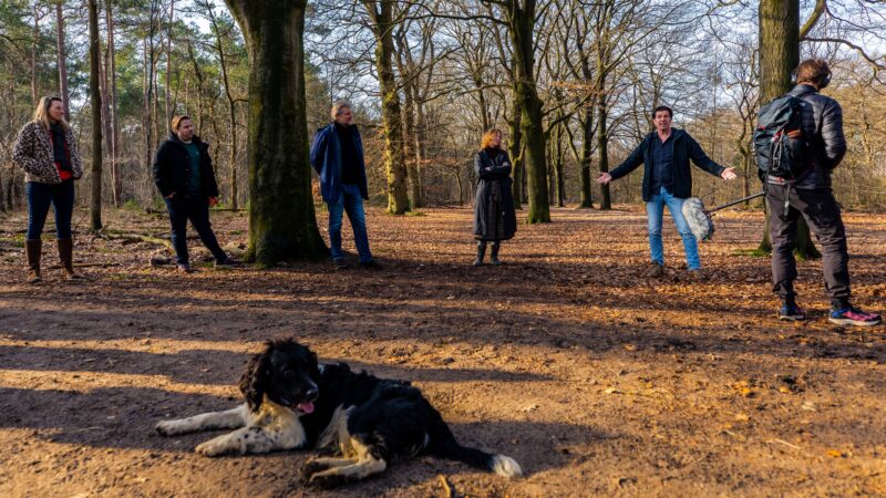 WalkTwan-XSAGA-boswandeling-met-hond foto Floris Heuer