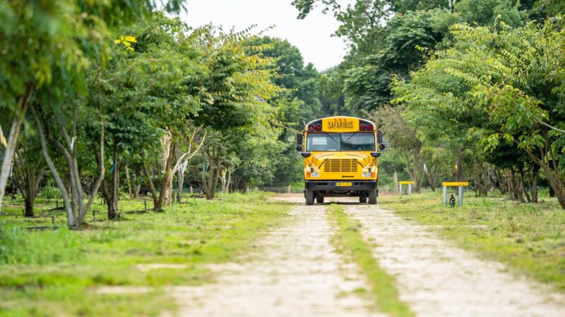 Inspyrium Kwekerij safaribus