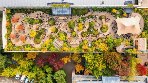 Inspyrium daktuin