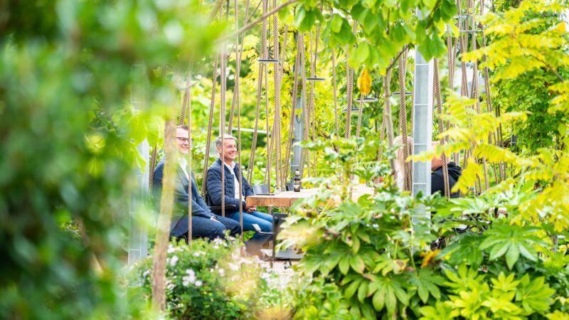 Inspyrium daktuin schommelstoelen