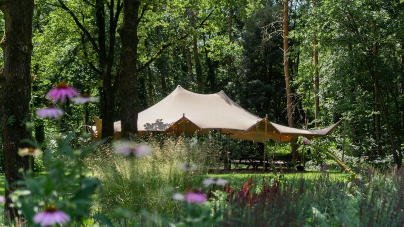 Kontakt der Kontinenten -KonneKt-terras-buiten
