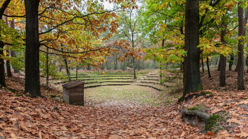BFoto - Locatietour 20 okt 2022 Utrechtse Heuvelrug - Woudschoten