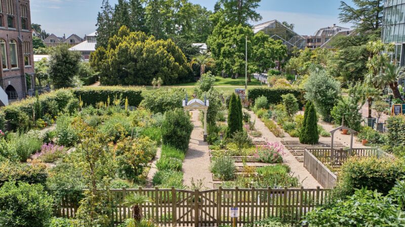 Hortus botanicus Leiden Clusius Garden overview Ralph Reniers