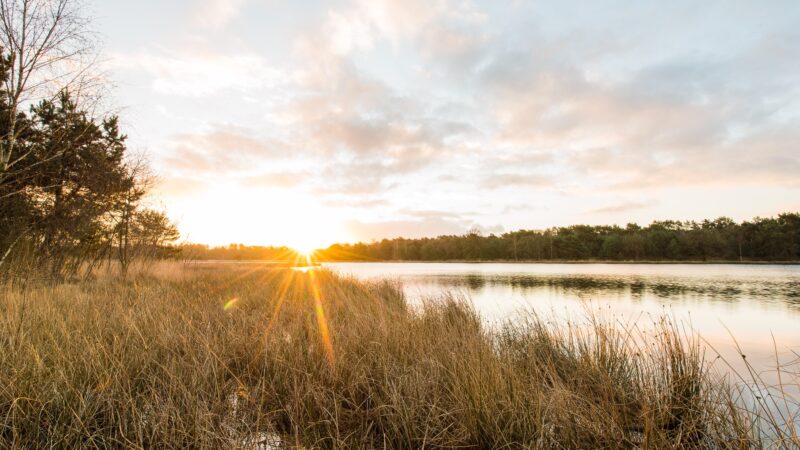 Hutten - Boshuys ondergaande zon bij meer