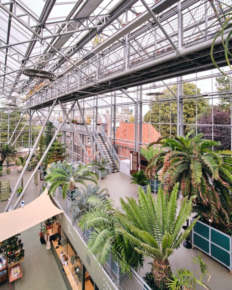 Wintertuin Hortus Botanicus Leiden