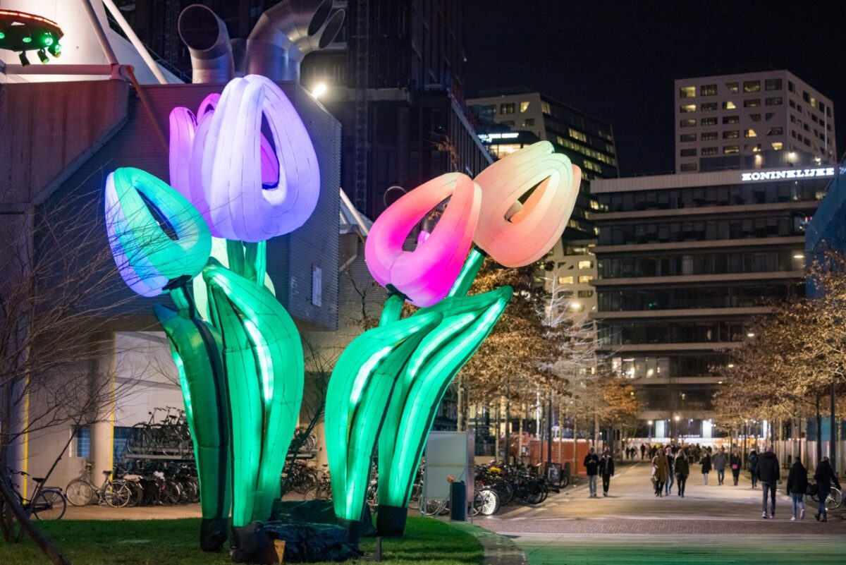 Lichtgevende-tulpen-IlightU-by-MichielTon