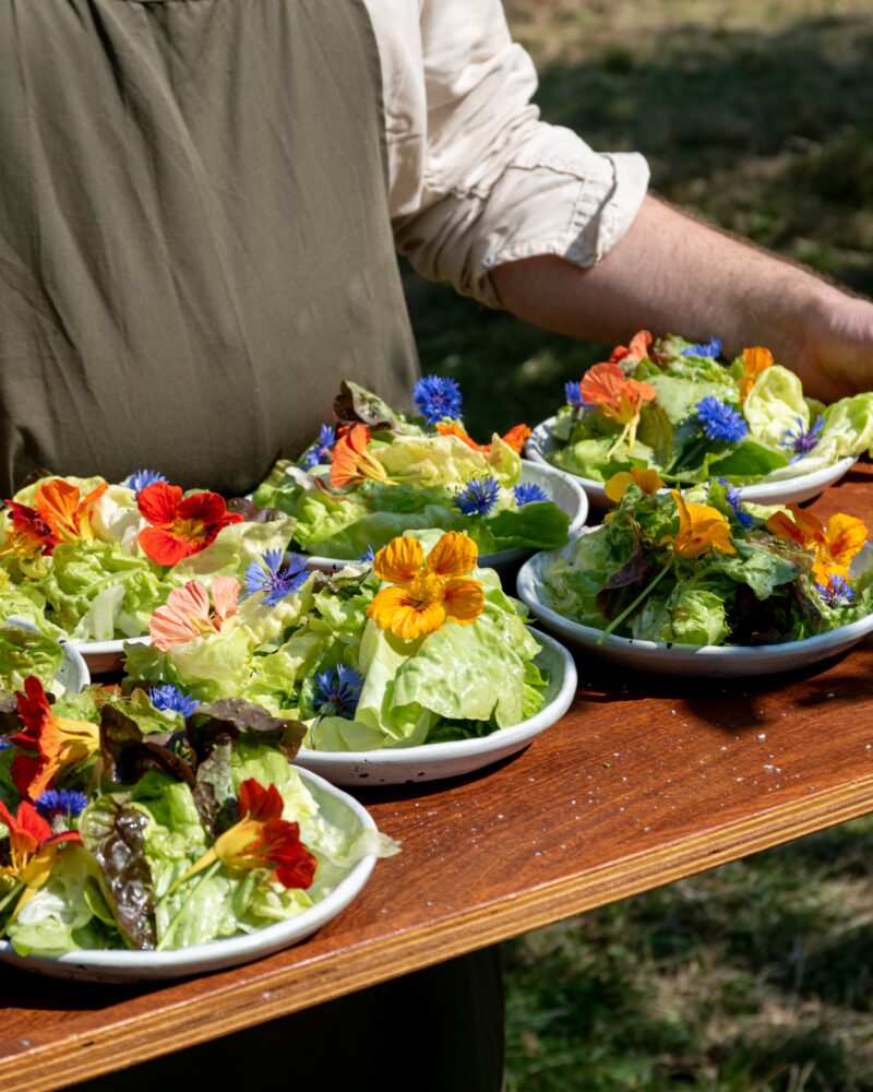 Buitenplaats Doornburgh - sla en bloemen op bord - Moestuin Maal_De Zusters