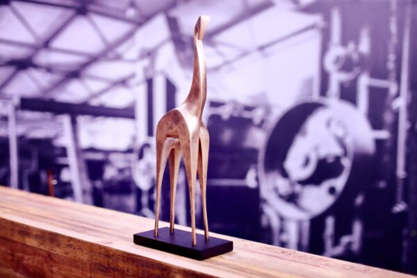 Gouden Giraffe award