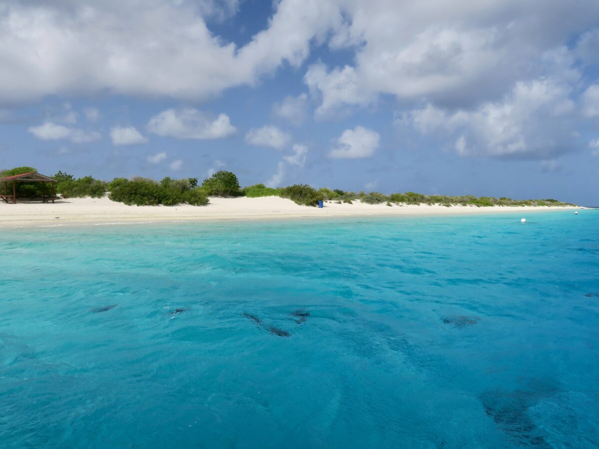 Bounty Island