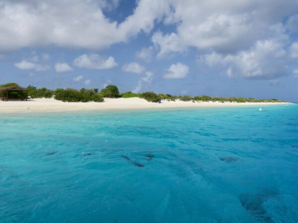 Bounty Island