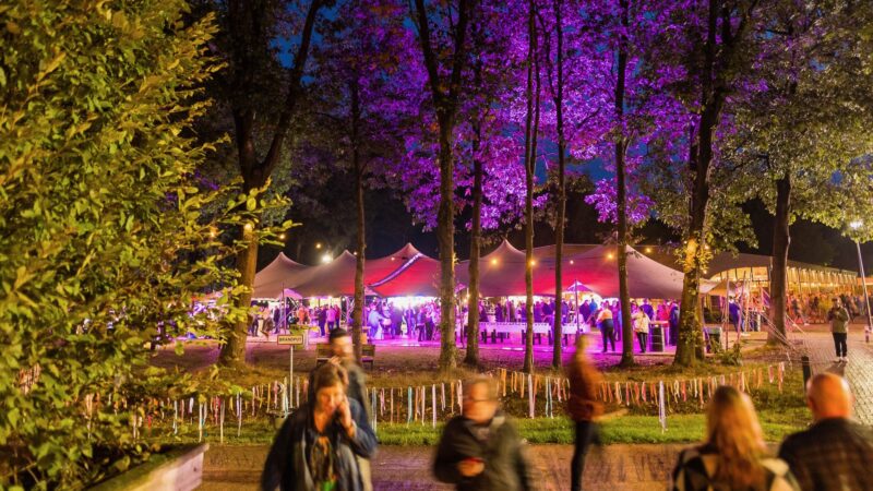 Hutten-Meetings-Events-feest-in-tent - Beeld Twycer