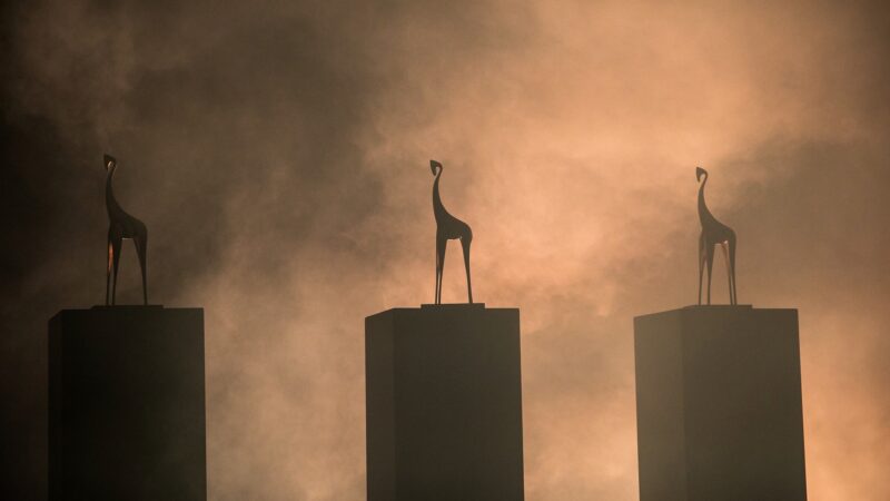 Rene Pouwelse - drie gouden giraffes