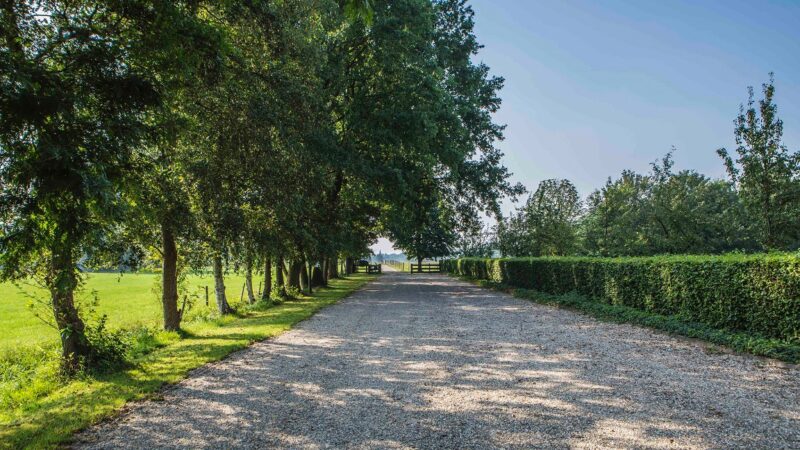 Hoeve Sparrendam - Next Venue - eventlocatie - venue