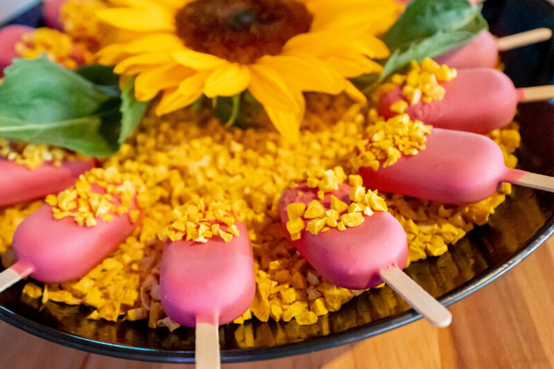 Van Essen Catering - Magnum I Foto Nico Alsemgeest