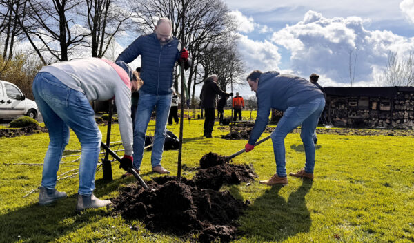 Greenbookings boom planten